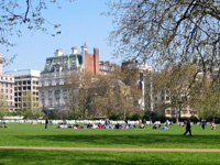 Парк в Лондоне